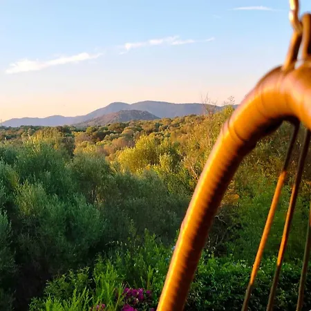 Apartment Glori House 50m From Marina Di - Happy Olbia